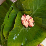 2027 Kuana Hawaii Keawe Workshop Weekend (July 16-18, 2027)