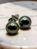 TAHITIAN PEARL STUDS (10-11mm)