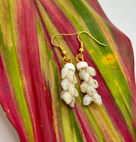 SALE! NIIHAU SHELL EARRINGS ‘ULI’ULI